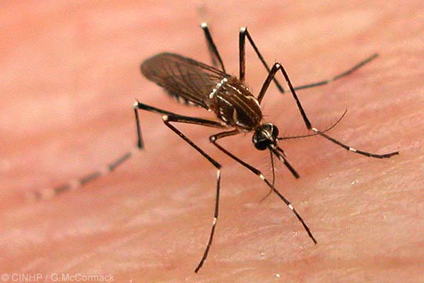 Health Department still moving slow