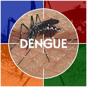 45 new dengue cases in Delhi