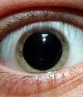 Look deep into eyes to detect diabetes 