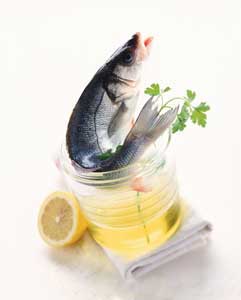 fish