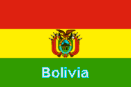 Bolivian constitution passes with 61.4 per cent of vote 