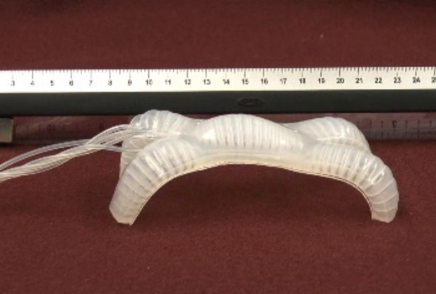 Harvard scientists develop new flexible robot