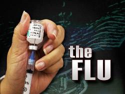 New York officials downplay threat of swine flu 