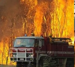 Australia's forest fires debated as police hunt arsonists