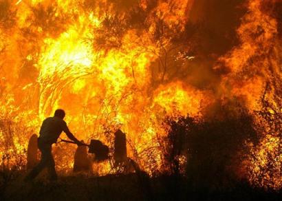 Australia's forest fire toll climbs - 173 dead