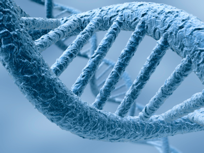 Genes linked to PTSD are changed by Trauma  