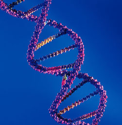 Dramatic Increase In Genetic Info On Diseases