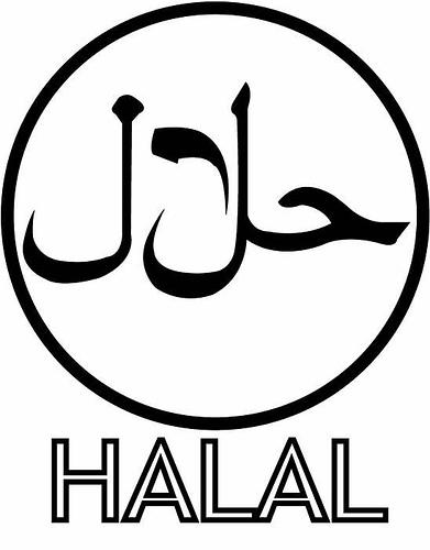 Halal search engine launched in UK to help Muslims avoid forbidden Internet sites