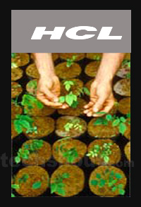 HCL Infosystems