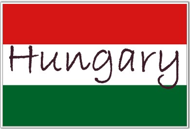 Hungary renews call for diversification as Ukraine opens gas taps 