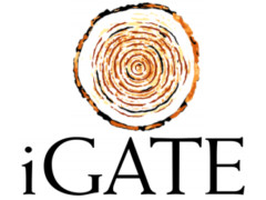iGate may reorganize/quit certain service lines & verticals