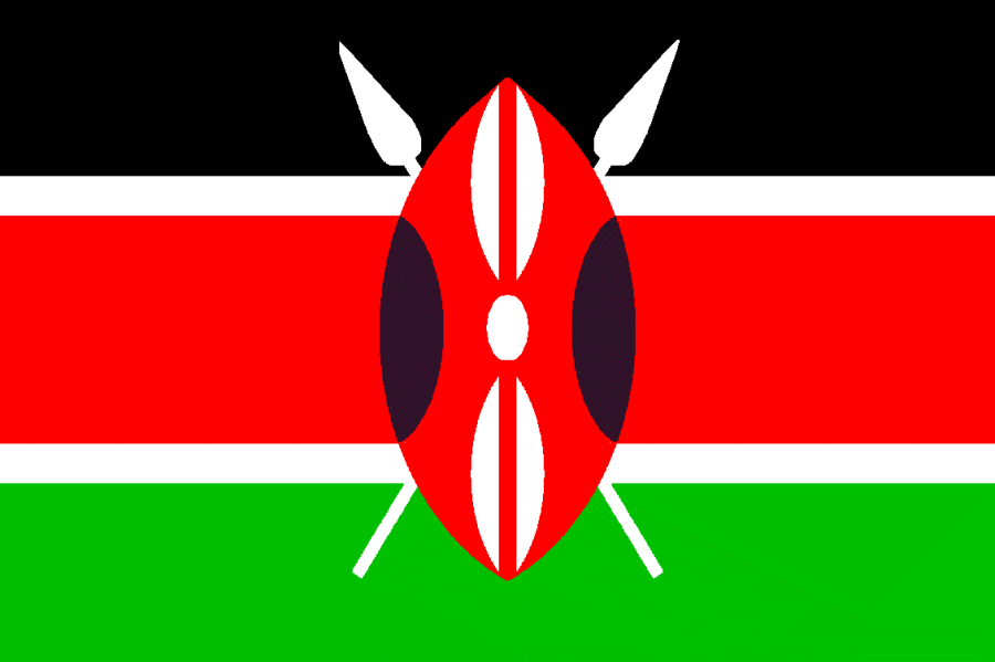 Kenyan cabinet meets amid rift over election violence amnesty