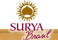 Surya Brasil to setup manufacturing facility in India 
