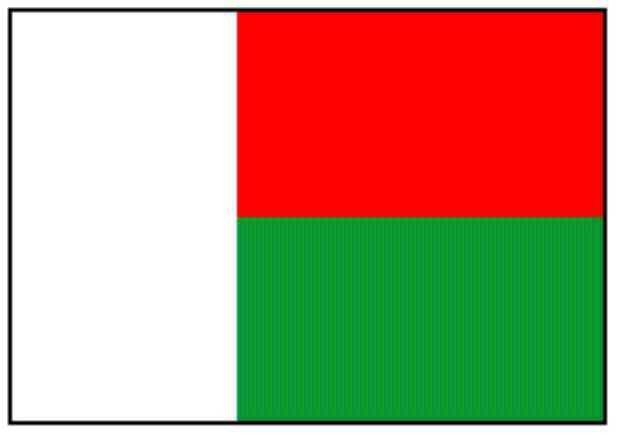 Madagascar Flag