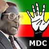 Zimbabwe's Mugabe helps himself to main cabinet portfolios 