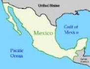 Number of dead in Mexican plane crash rises to 13 