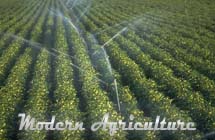 Modern agriculture may lead to major disruptions of world’s water flows