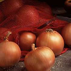 Onion prices fall in Maharashtra