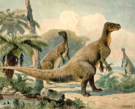 /ostrich-like-dinosaur.