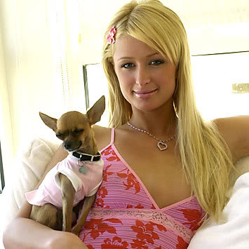 Paris Hilton shows off $3,25,000 dog house