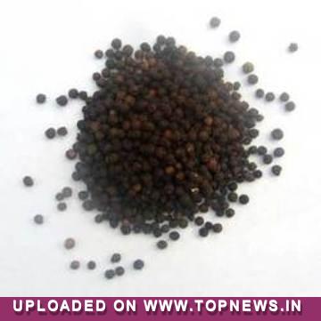 Pepper