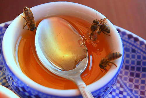 FSSAI asks for no antibiotics in honey 