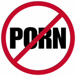 Nearly 91 sites in porn crackdown shut down by China 