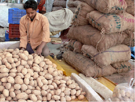 Prices Hike for Potatoes