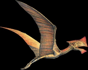 prehistoric dinosaurs 