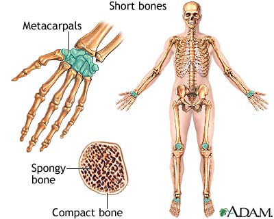 Using Osteoporosis Drug For Long-Time May Weaken Bones