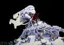 China accomplishes successful spacewalk 