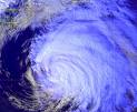 Hurricanes and storms can wipe out corals