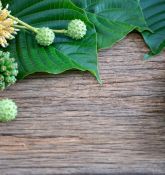Long-Term Effects of Kratom – Benefits, Risks, and What You Should Know