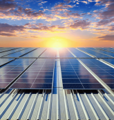 SBI, NTPC Green Energy, Yes Bank, IndusInd Bank, Adani Power, Swiggy, Dr. Reddy's Share Price in Focus