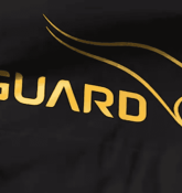 V-Guard Industries Share Price Target at Rs 440: ICICI Securities