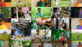 CreditAccess Grameen Share Price Target at Rs 1,600: Motilal Oswal Research