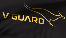 V-Guard Industries Share Price Target at Rs 440: ICICI Securities