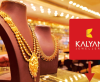 Kalyan Jewellers Share Price Jumps 3.1 Percent; Immediate Resistance at Rs 562