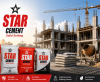 Star Cement Share Price Target at Rs 300: Axis Securities