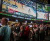 North Carolina budget bill reduces online sports betting licenses from 12 to 7