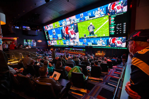 Silverton Casino teams up with Circa Sports to deliver ultimate sports betting experience