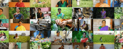 CreditAccess Grameen Share Price Target at Rs 1,600: Motilal Oswal Research