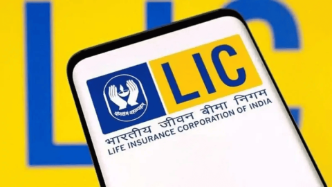 Life Insurance Corporation (LIC) Share Price Target at Rs 1,300: Kotak Securities