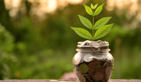 Unified Pension Scheme (UPS) Notified; Employees have Choice Between UPS and NPS