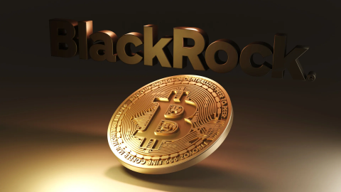 BlackRock's iShares Bitcoin Trust ETF Faces Outflows for Second Time Since Launch