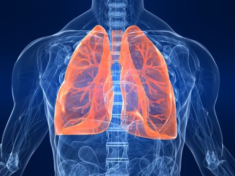 Long COVID-19 and other chronic respiratory conditions after viral infections may stem from an overactive immune response in the lungs
