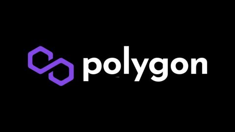 Polygon regains control of its Discord channel after phishing attack