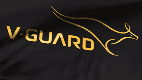 V-Guard Industries Share Price Target at Rs 440: ICICI Securities