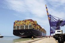 Sudarshan Sukhani: Trading Calls Performance for Adani Ports, Britannia, SELL IGL and NIIT Technologies