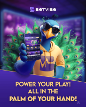 What Indian Users Can Expect from the BETVIBE Mobile App: Access Top Betting and Casino Games
